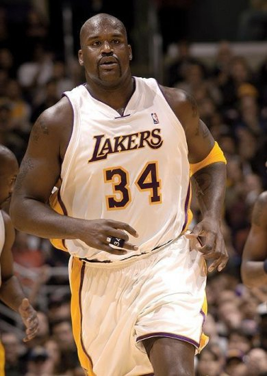 要么边读证 要么边读证