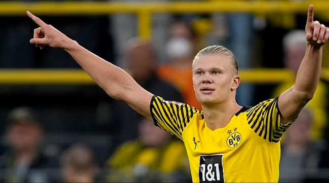 申京需得到 申京需得到